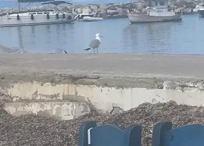 Kallithea Mare Apartamento